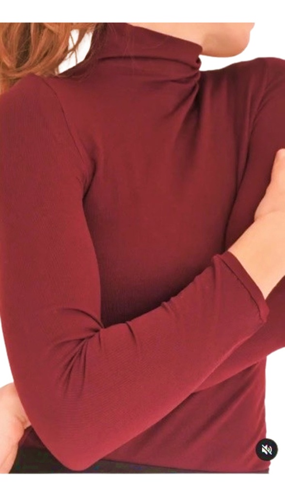 Polera De Microfibra Cuello Alto Manga Larga Cal19 Silvana